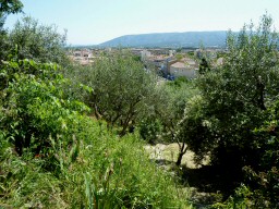 vue de la colline