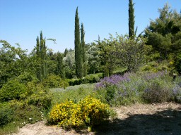 jardin paysagé